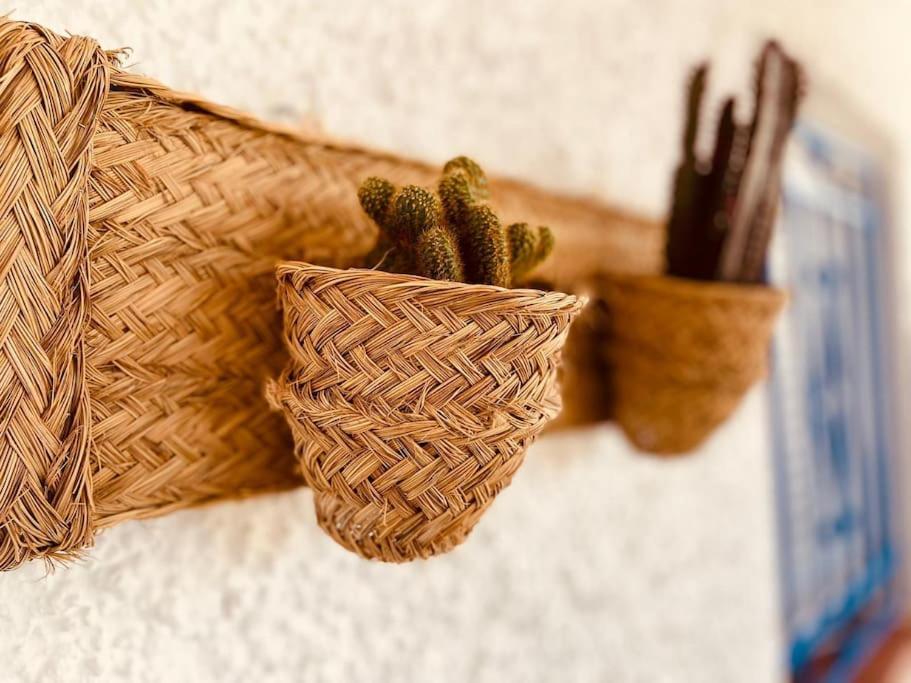 فيلا Casa Mirador - San Jose المظهر الخارجي الصورة
